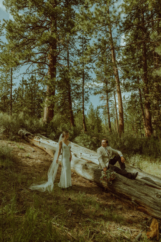 Destination forest elopement in oregon with bride and groom