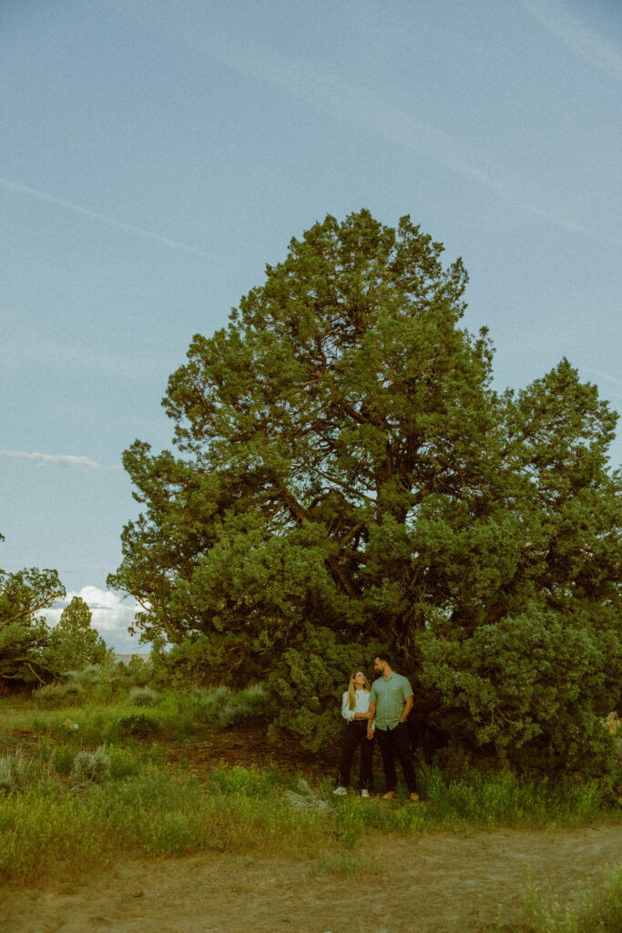girl and boy posing with tree for engagement photos in oregon badlands