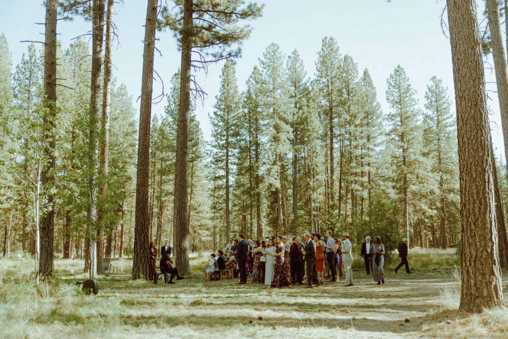 ceremony guests standing waiting for bride and groom to enter