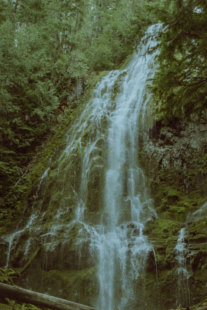 proxy falls elopement ceremony in bend oregon