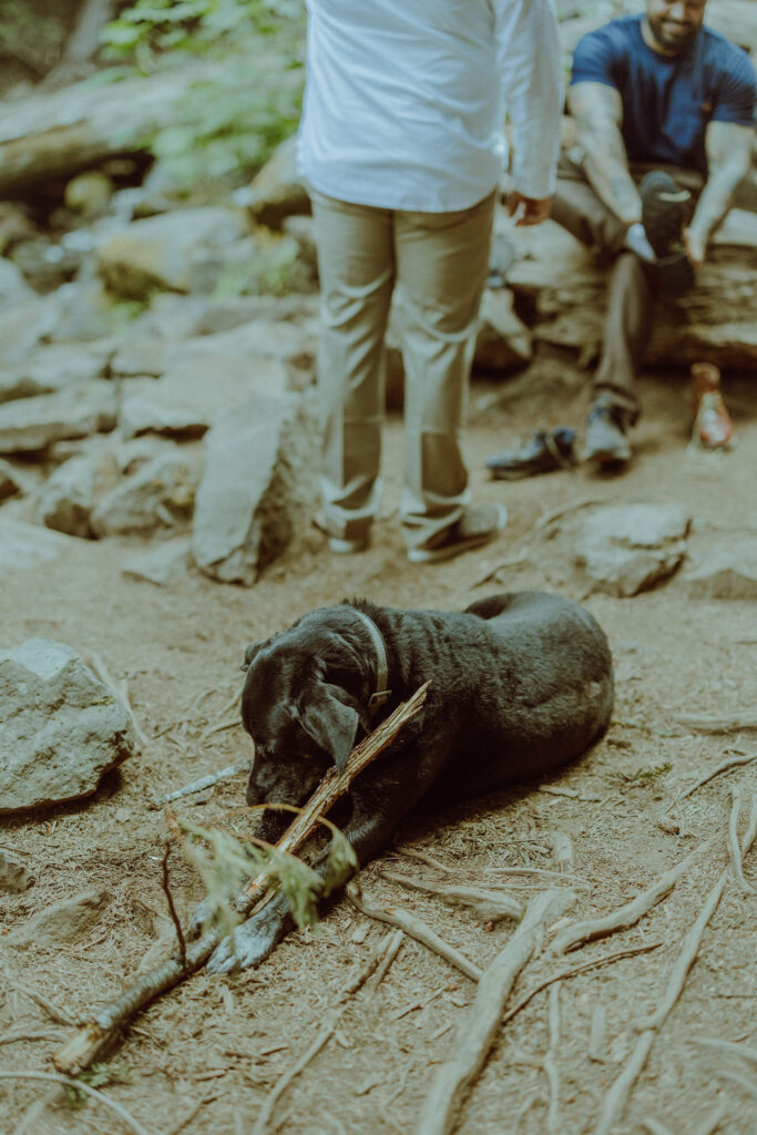 proxy falls elopement ceremony in bend oregon