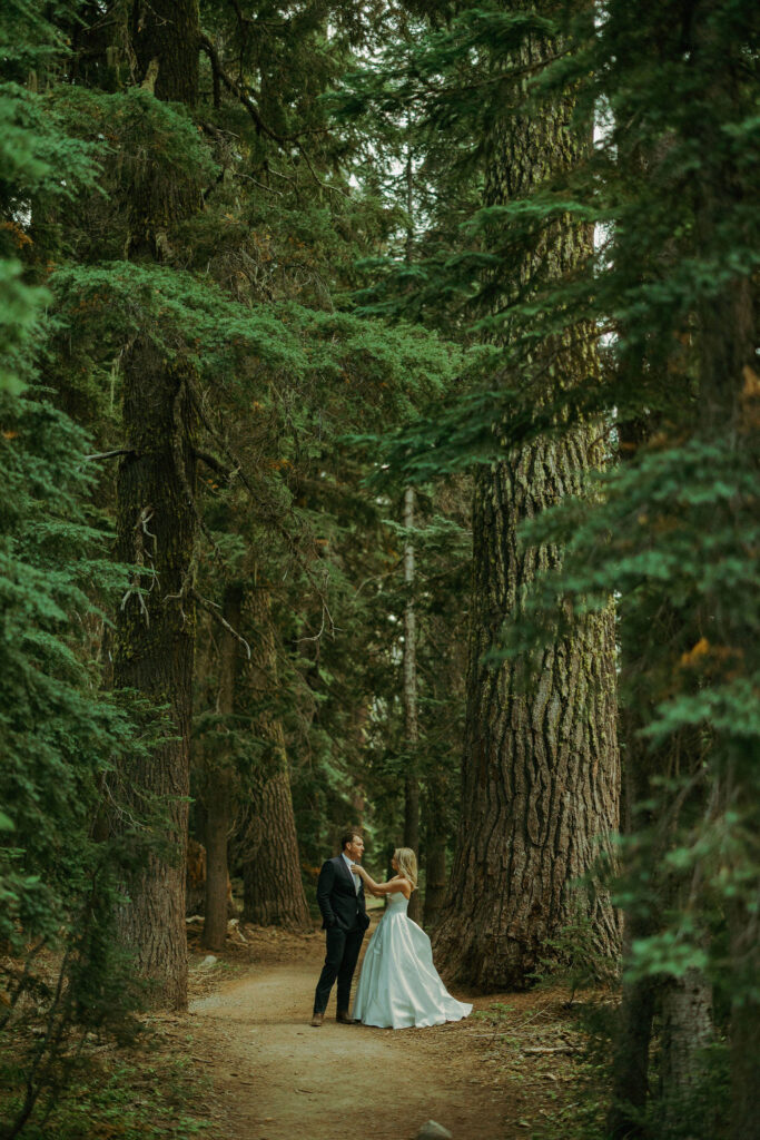 forest photo at crater lake destination elopement in oregon 