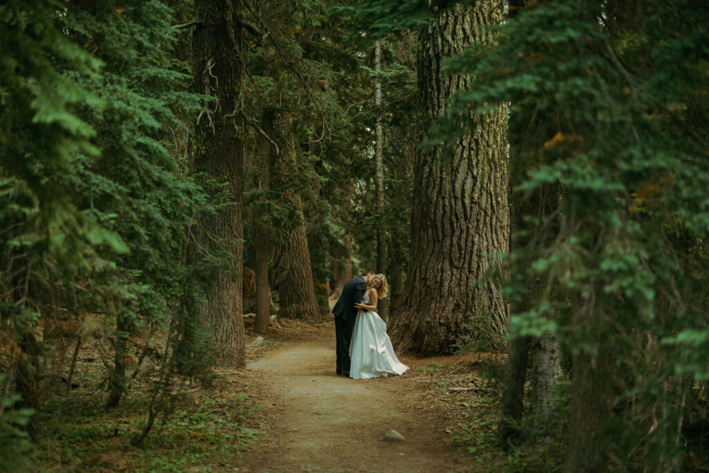 forest photo at crater lake destination elopement in oregon 