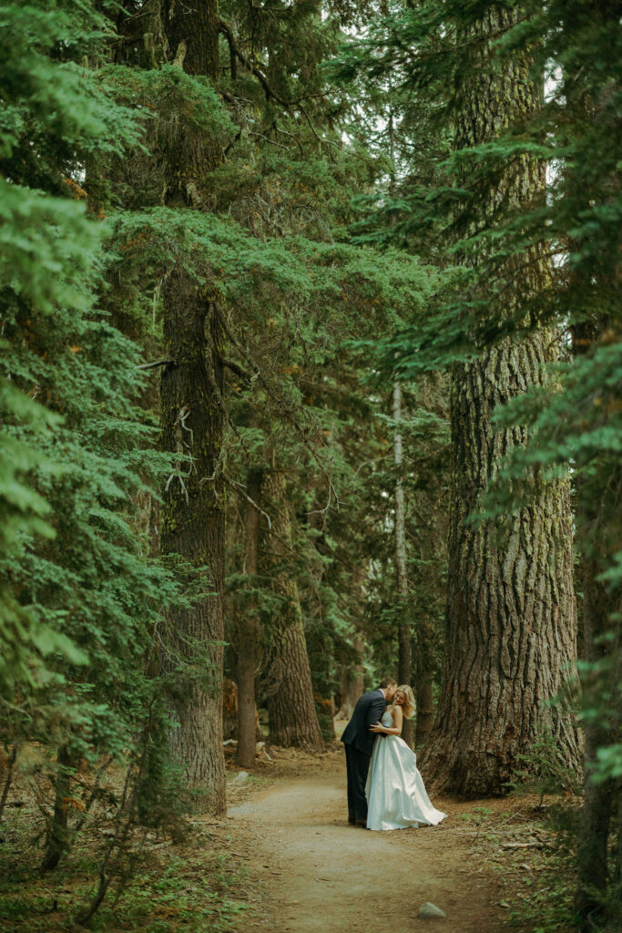 forest photo at crater lake destination elopement in oregon 