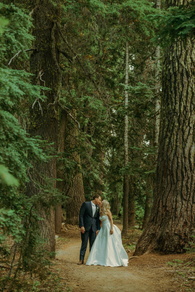 forest photo at crater lake destination elopement in oregon 
