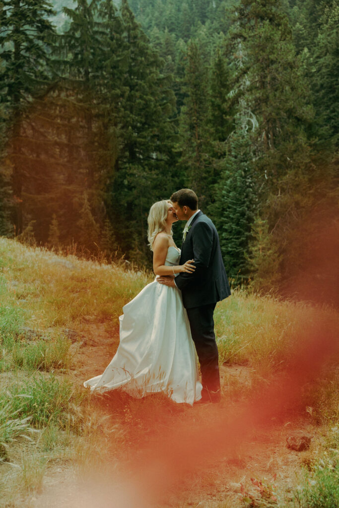 forest photo at crater lake destination elopement in oregon 